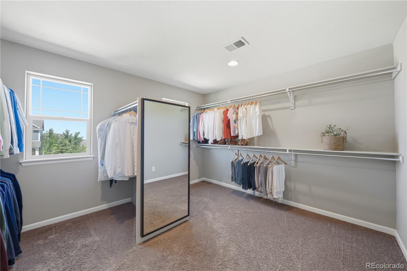 MLS Image #27 for 3177  starry night loop,castle rock, Colorado