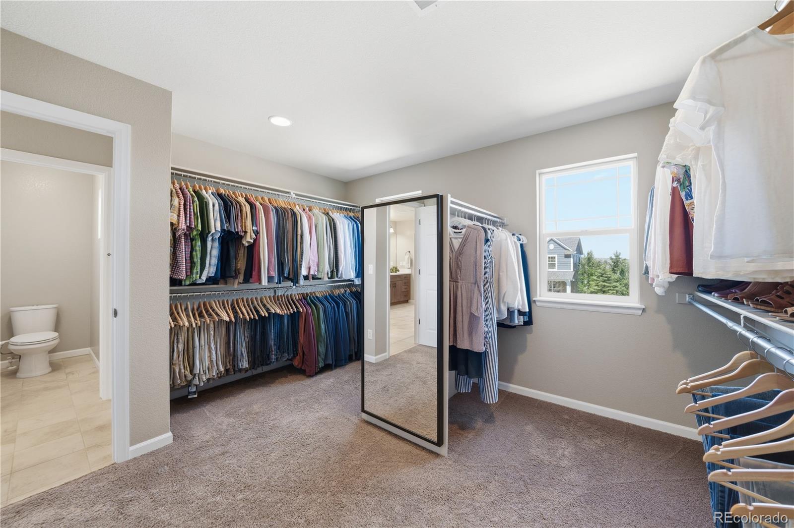 MLS Image #28 for 3177  starry night loop,castle rock, Colorado