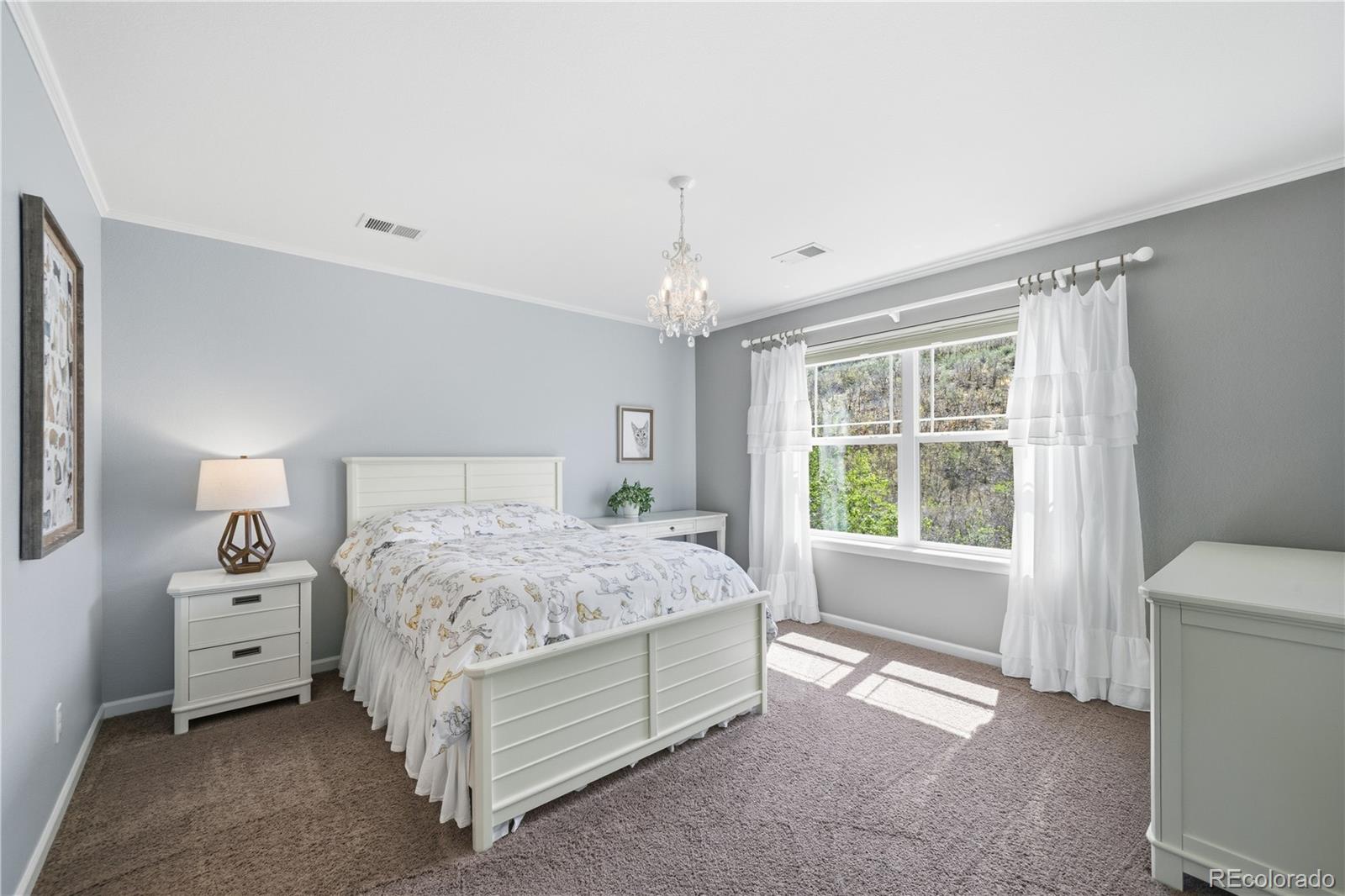 MLS Image #29 for 3177  starry night loop,castle rock, Colorado