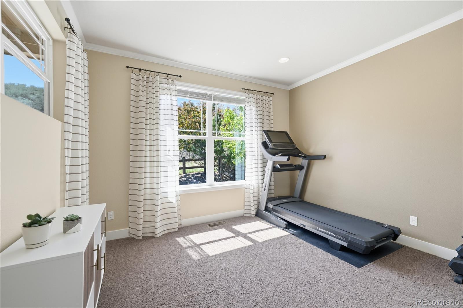 MLS Image #32 for 3177  starry night loop,castle rock, Colorado
