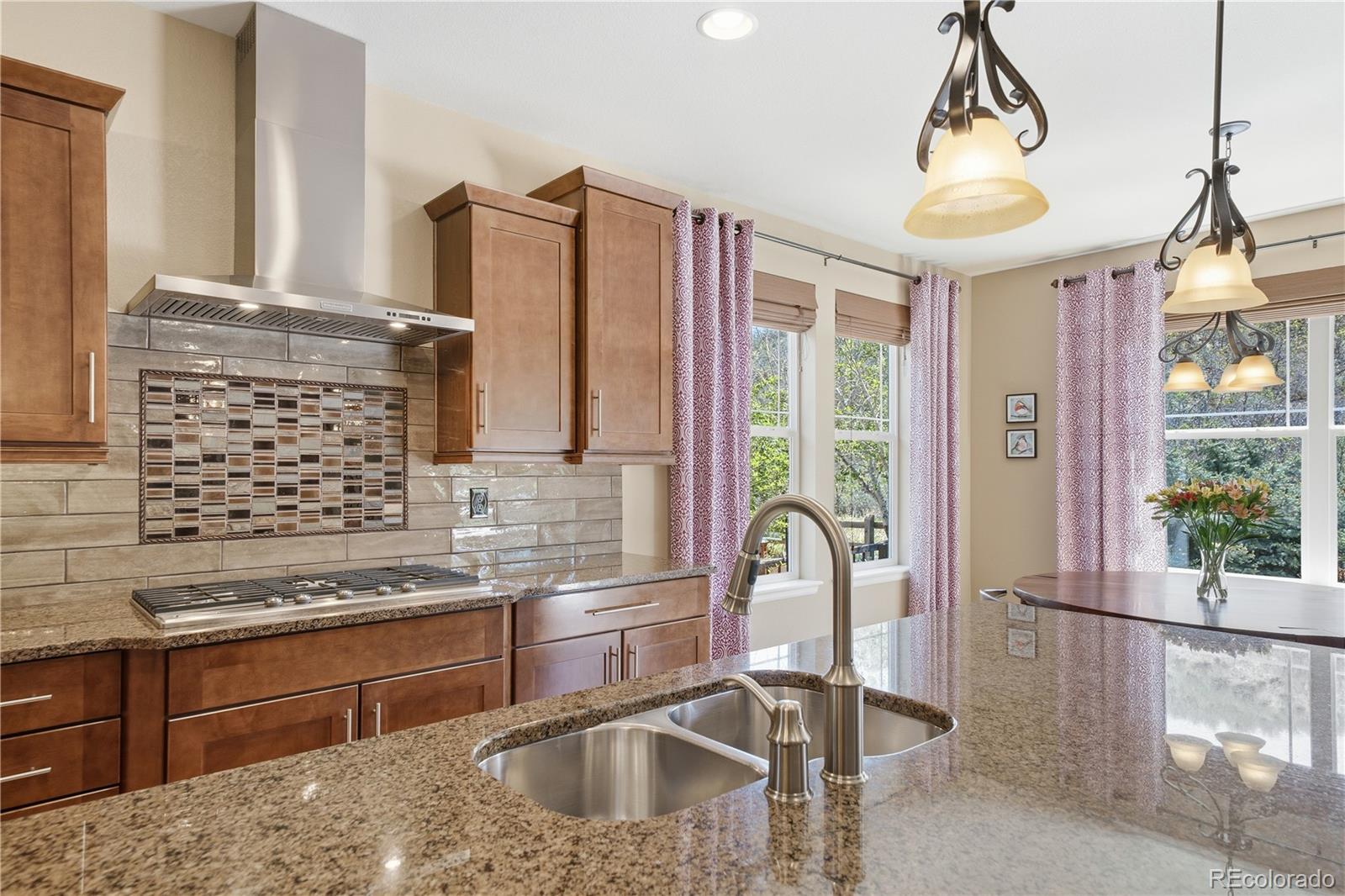MLS Image #9 for 3177  starry night loop,castle rock, Colorado
