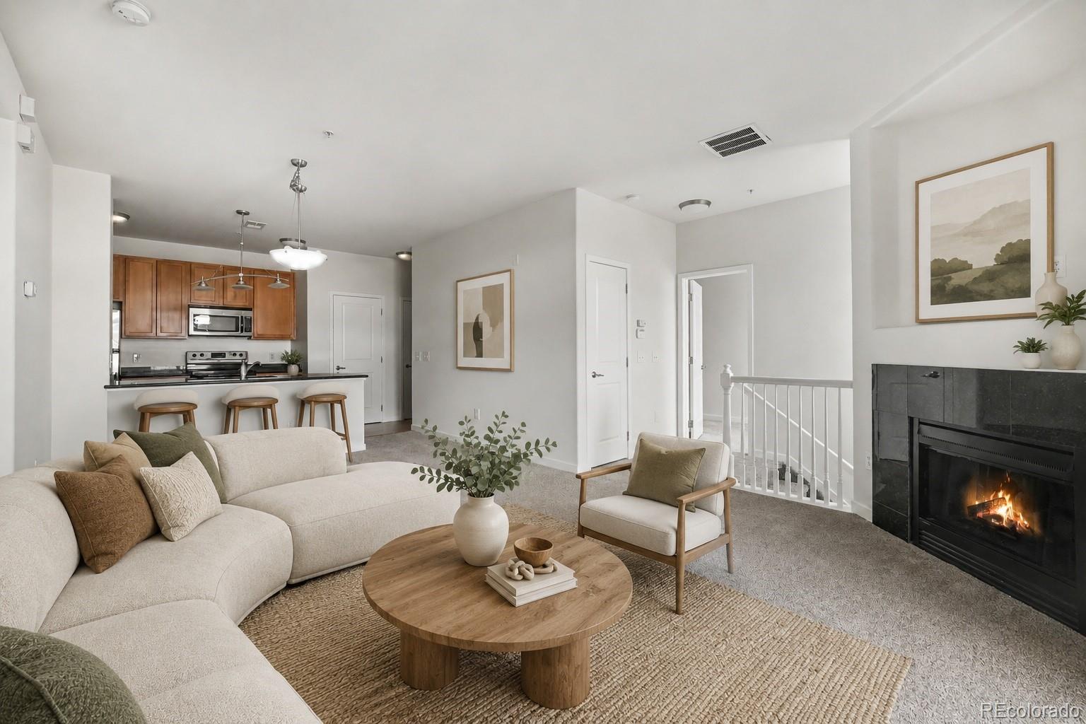 MLS Image #0 for 4100  albion street,denver, Colorado