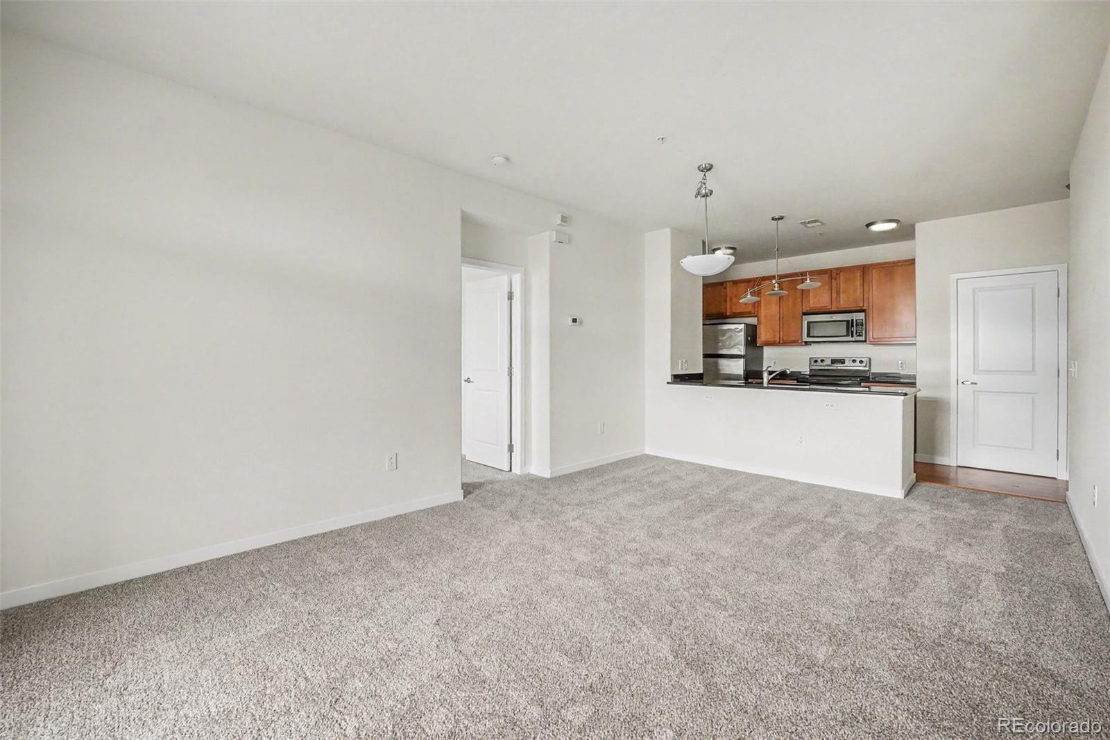 MLS Image #3 for 4100  albion street,denver, Colorado