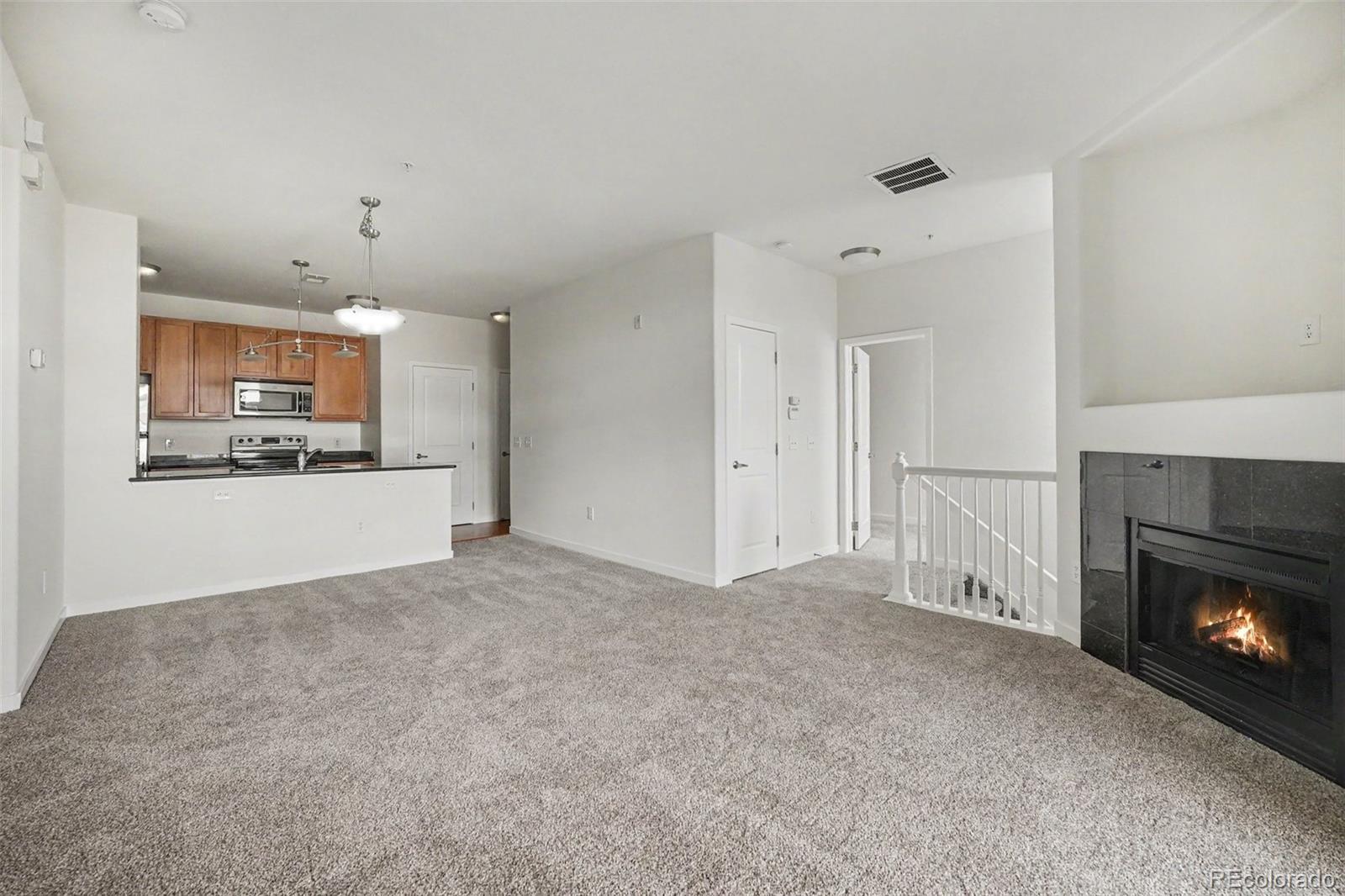 MLS Image #4 for 4100  albion street,denver, Colorado
