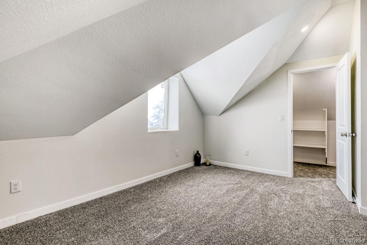 MLS Image #17 for 3824 n williams street,denver, Colorado