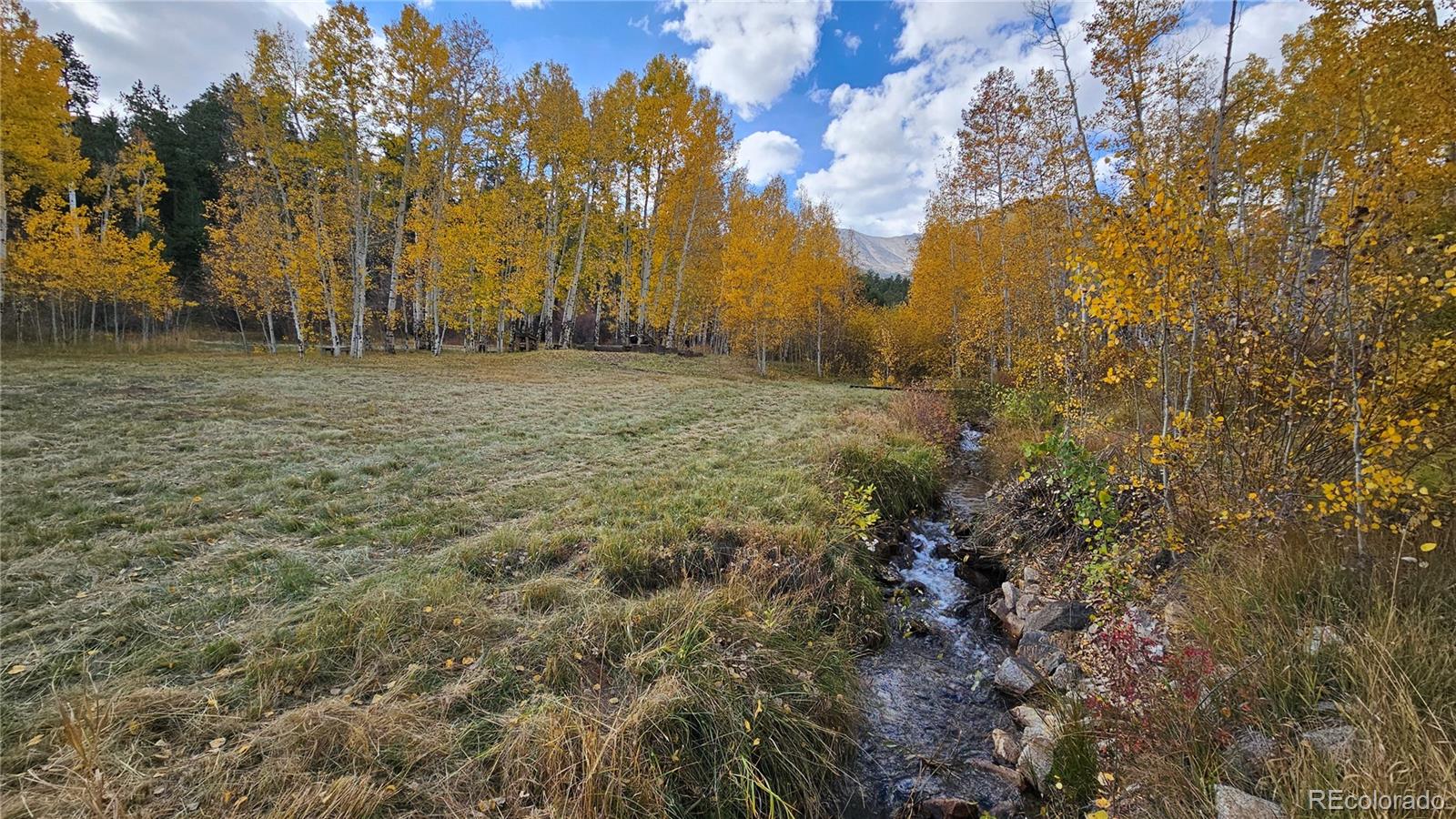 MLS Image #43 for 24559  co rd 339 ,buena vista, Colorado