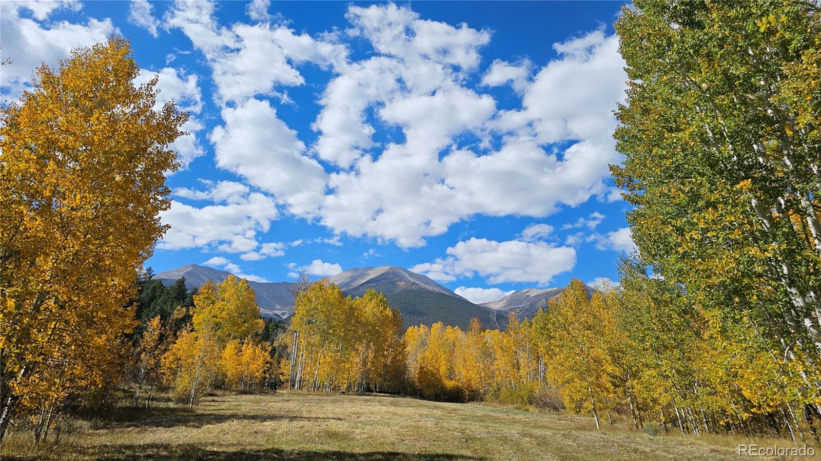 MLS Image #44 for 24559  co rd 339 ,buena vista, Colorado