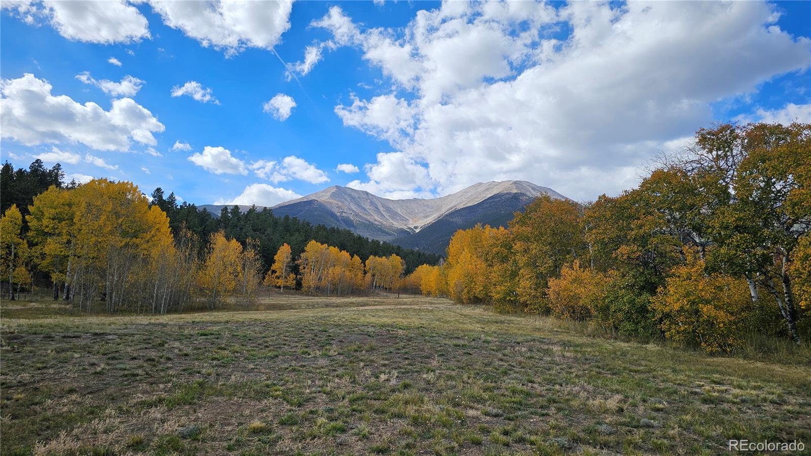 MLS Image #46 for 24559  co rd 339 ,buena vista, Colorado