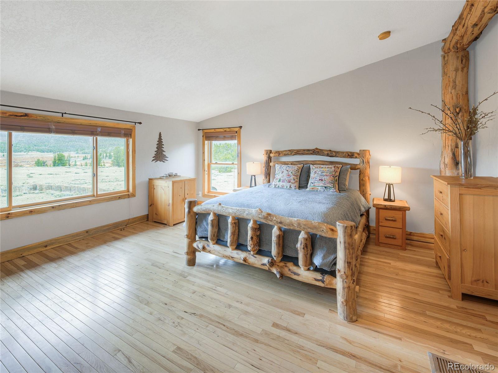 MLS Image #20 for 2867  willow creek lane,fairplay, Colorado