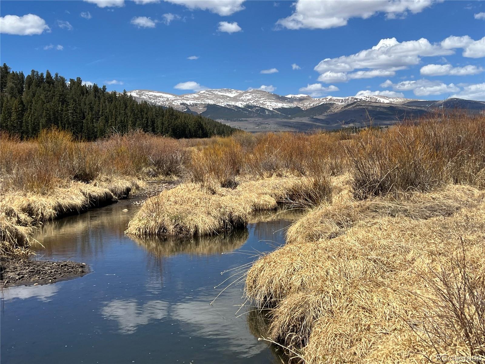 MLS Image #38 for 2867  willow creek lane,fairplay, Colorado