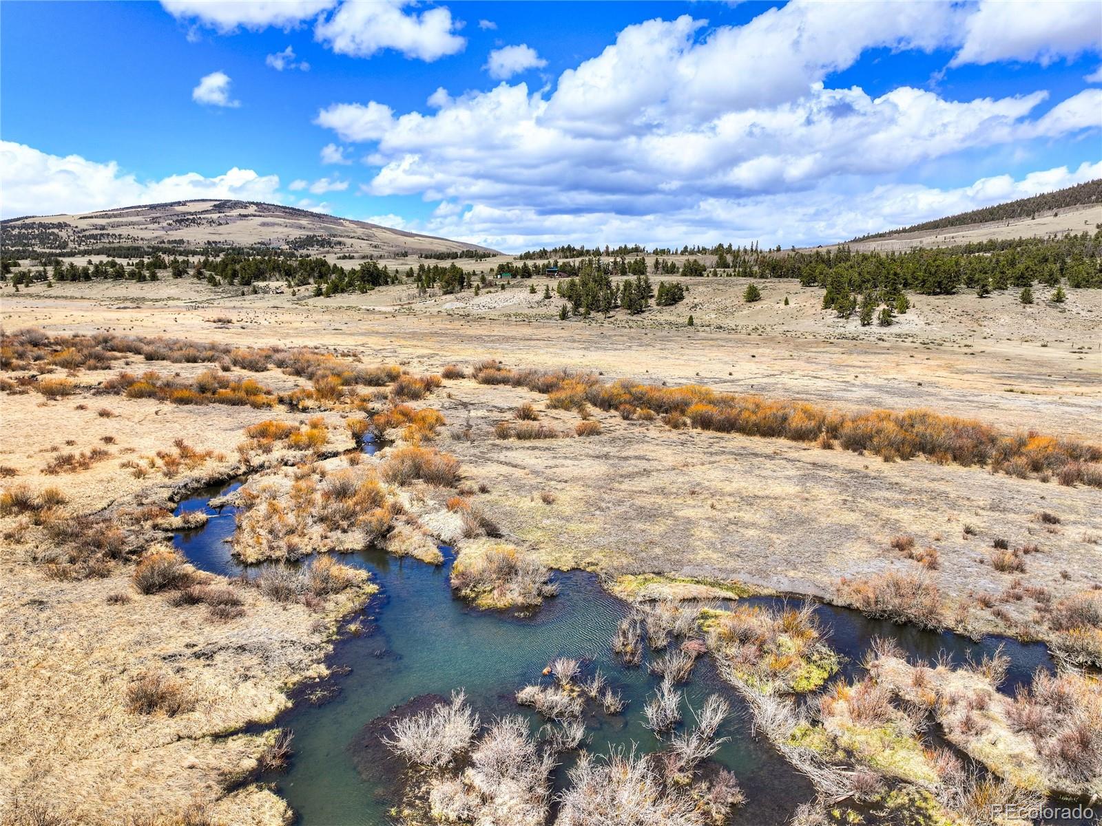 MLS Image #42 for 2867  willow creek lane,fairplay, Colorado