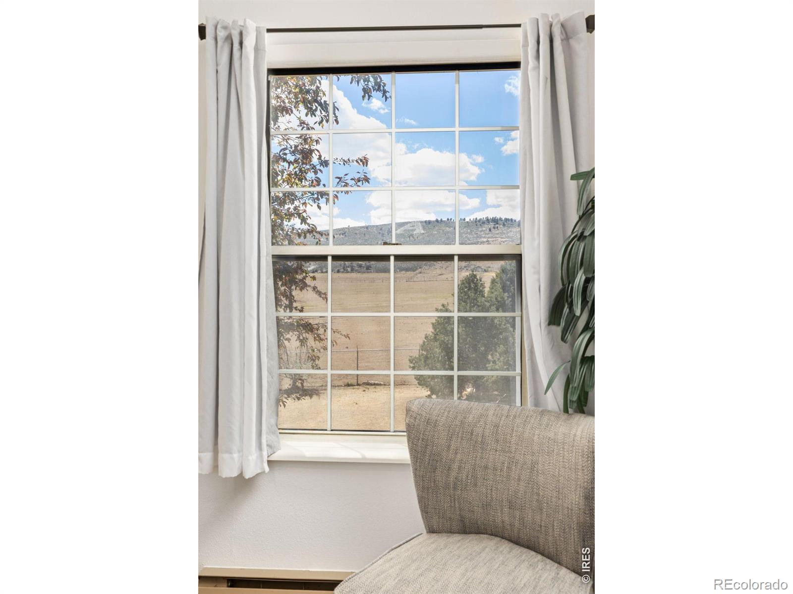 MLS Image #12 for 3200  azalea drive,fort collins, Colorado