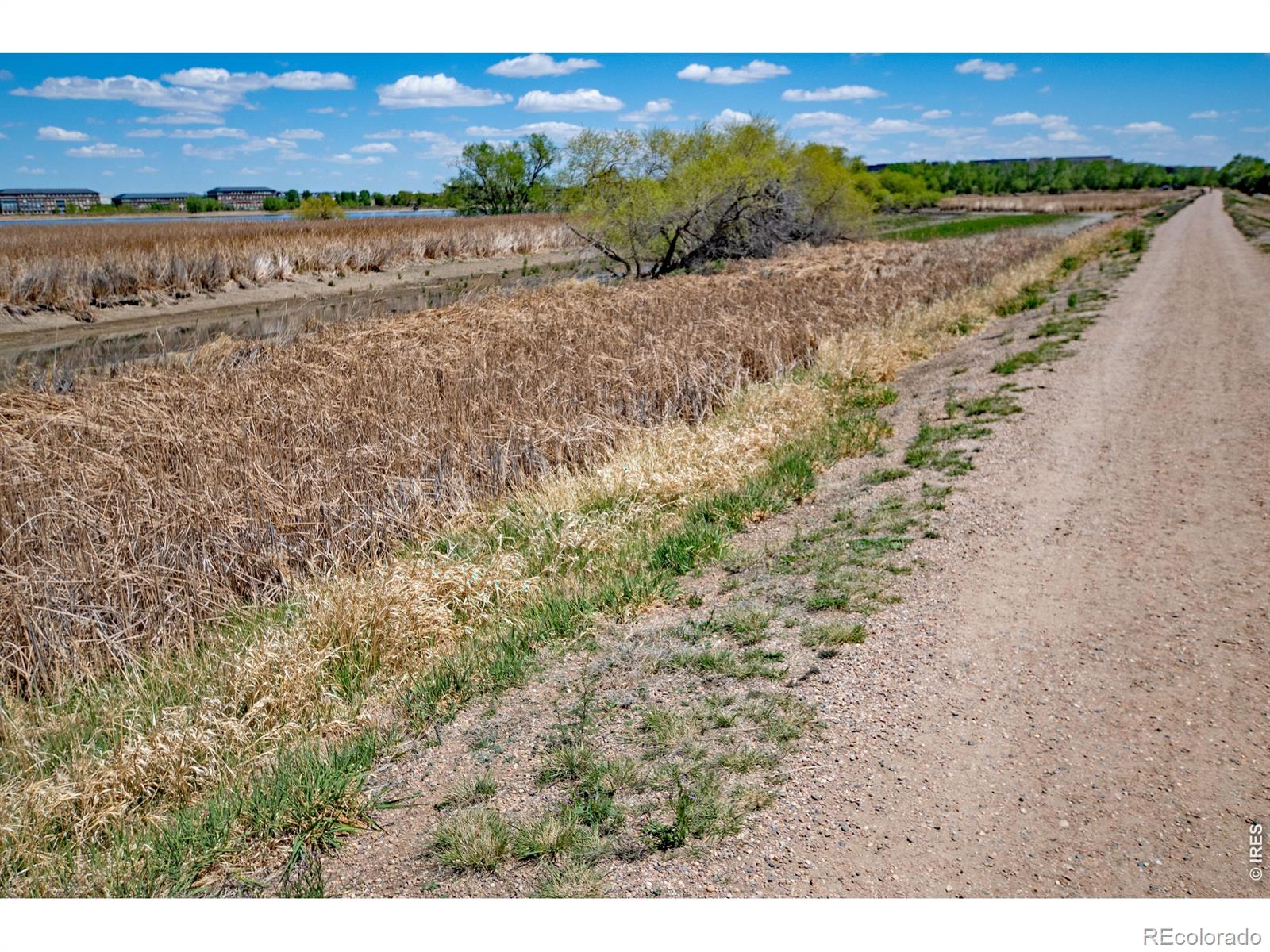 MLS Image #26 for 2059  grays peak drive,loveland, Colorado
