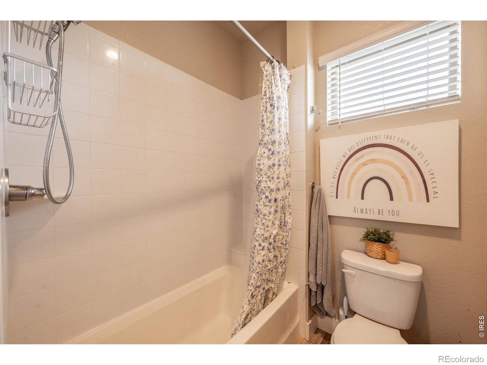 MLS Image #29 for 4593  colorado river drive,firestone, Colorado