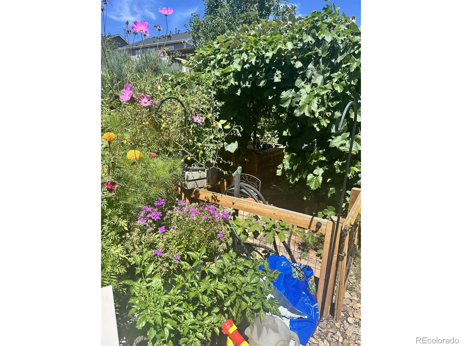 MLS Image #44 for 4593  colorado river drive,firestone, Colorado