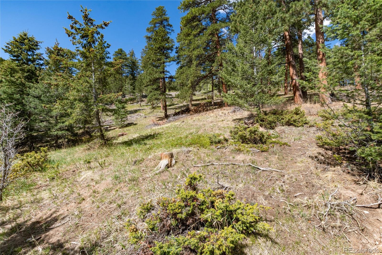 MLS Image #1 for 9701  city view drive,morrison, Colorado