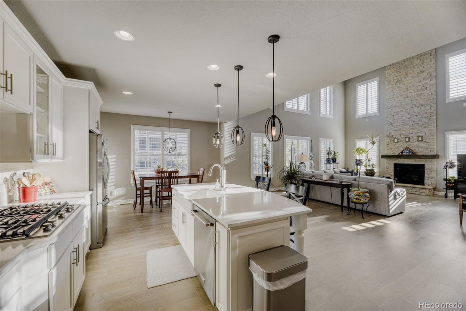 MLS Image #8 for 22296  boundstone drive,parker, Colorado