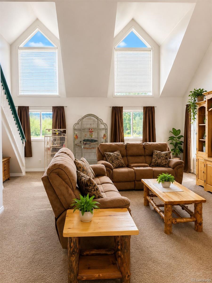 MLS Image #2 for 2805  miner street,idaho springs, Colorado