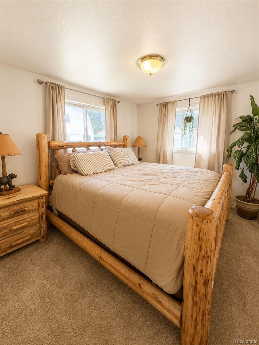 MLS Image #5 for 2805  miner street,idaho springs, Colorado