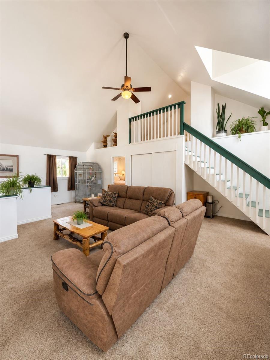 MLS Image #6 for 2805  miner street,idaho springs, Colorado