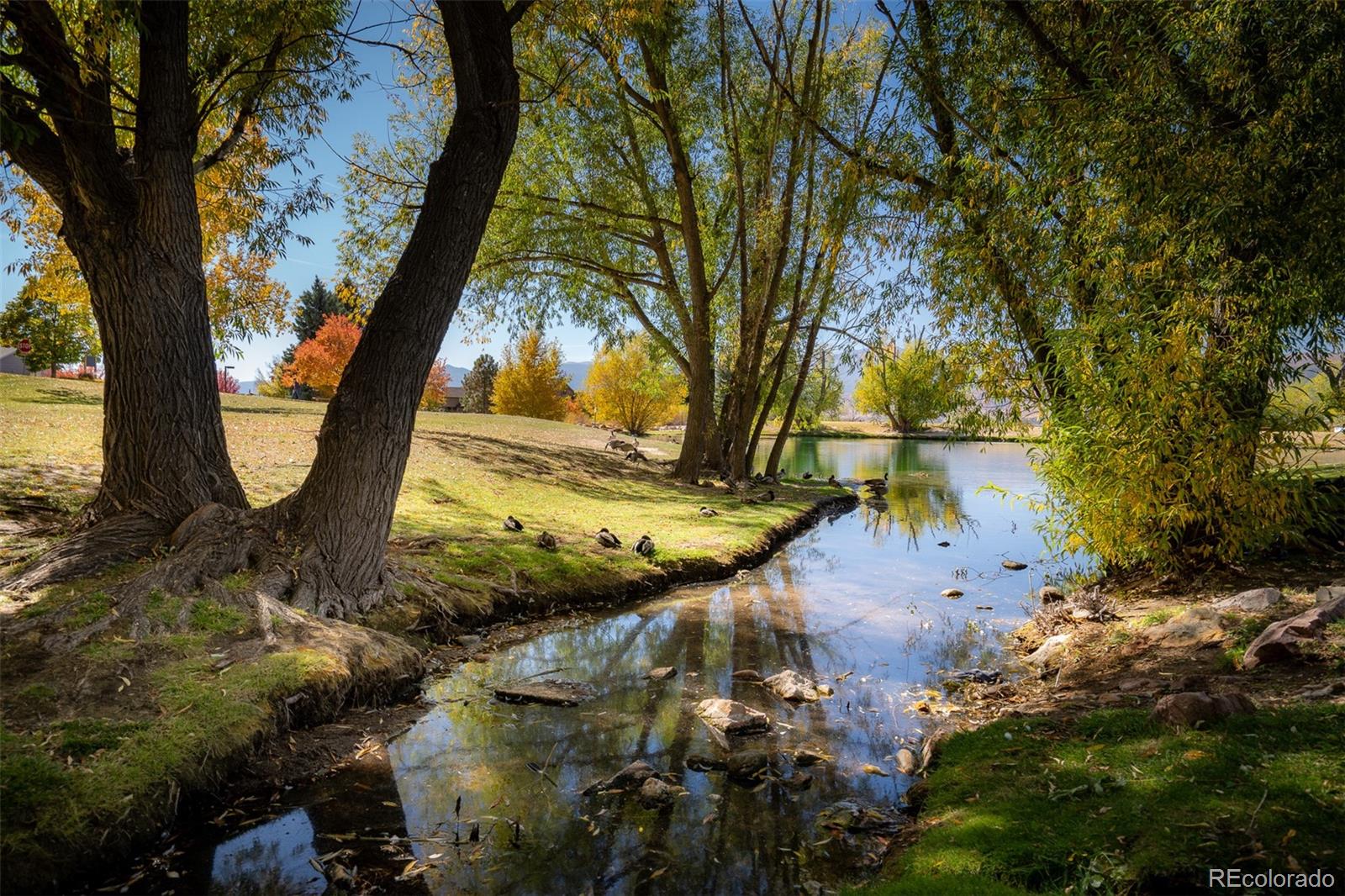 MLS Image #46 for 2722  marston heights,colorado springs, Colorado