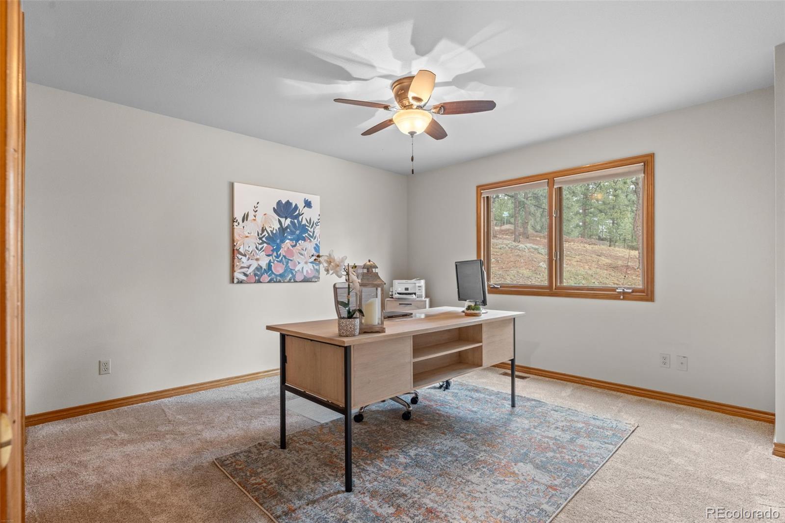 MLS Image #21 for 6327 s king road,evergreen, Colorado
