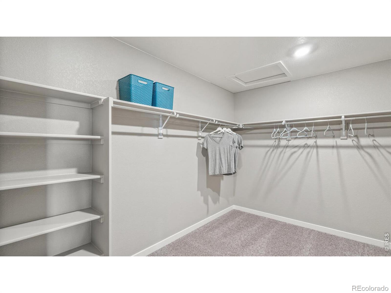 MLS Image #17 for 5684  gelbray place,windsor, Colorado