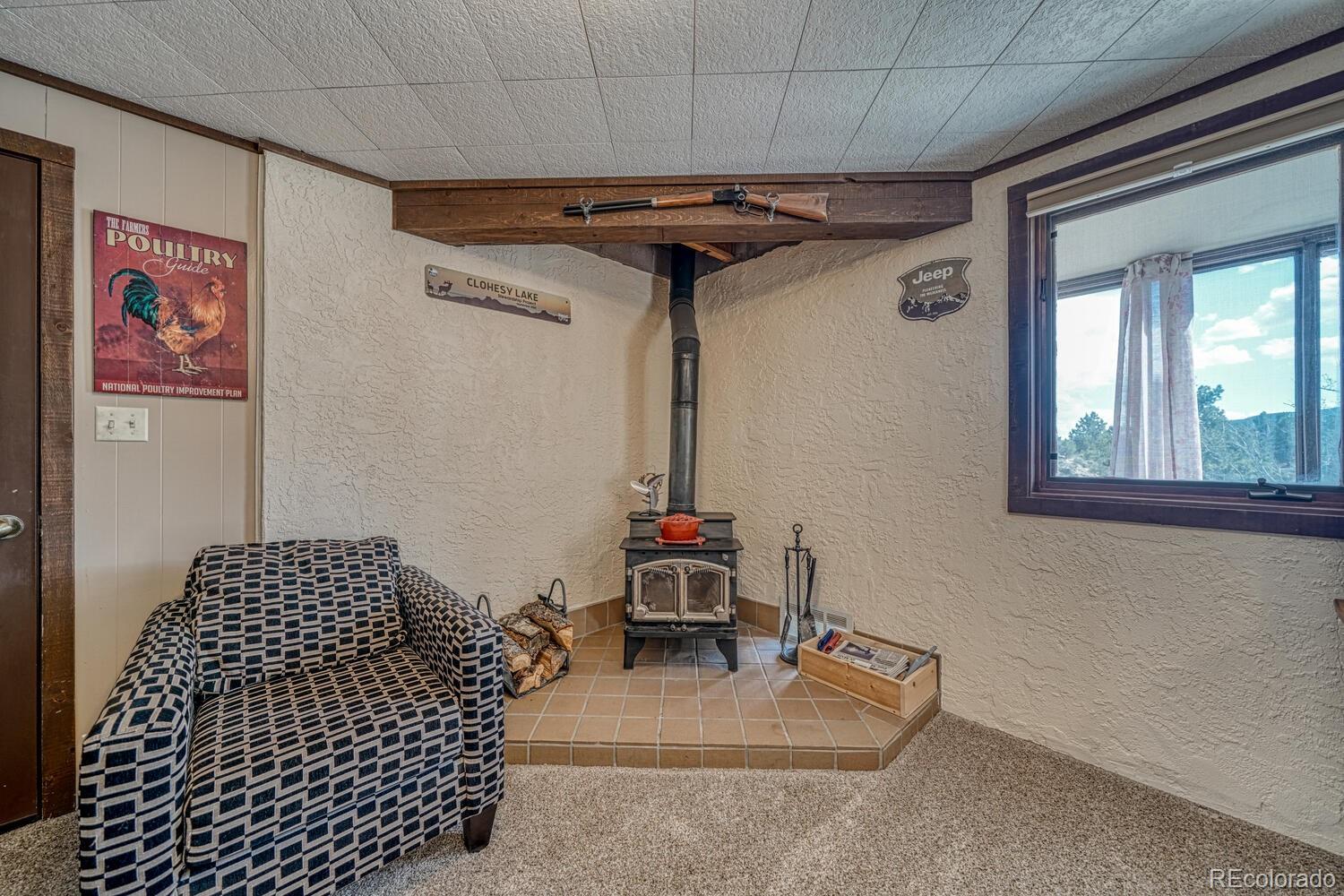 MLS Image #20 for 37820  twin kopie drive,buena vista, Colorado
