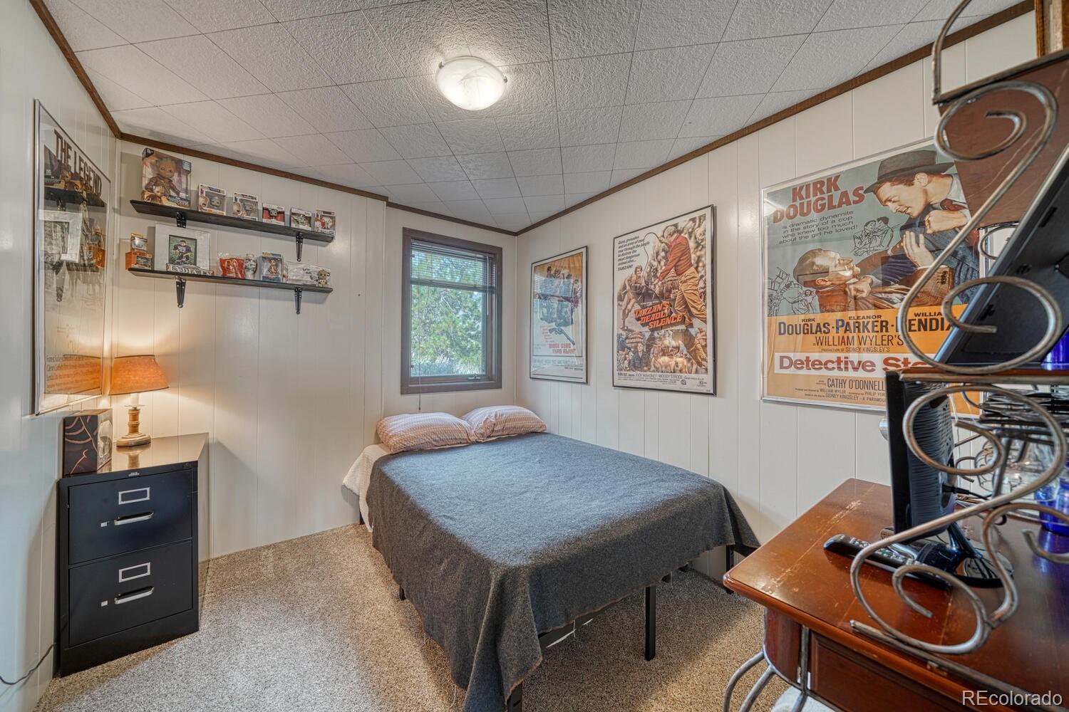 MLS Image #21 for 37820  twin kopie drive,buena vista, Colorado