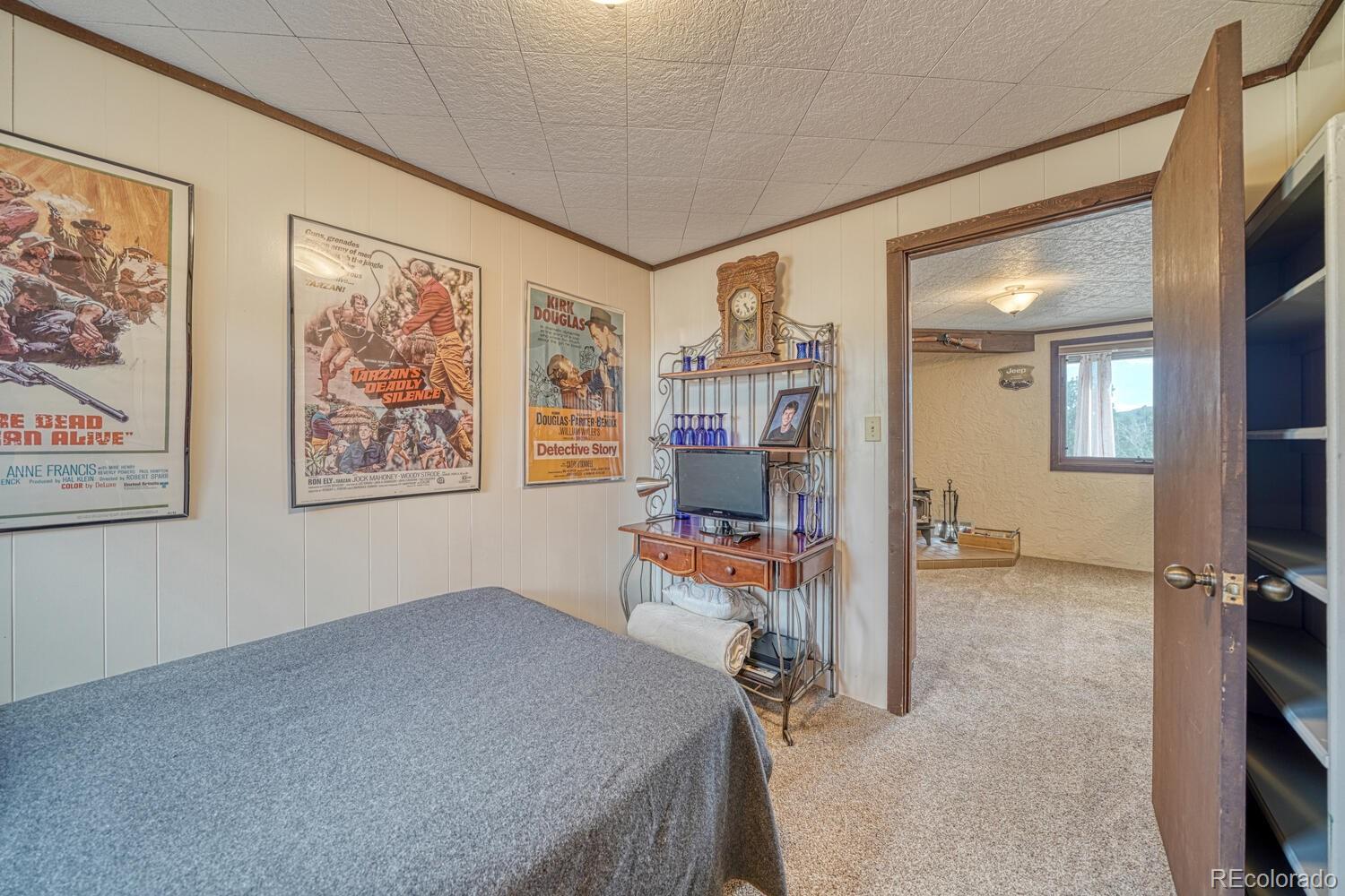 MLS Image #22 for 37820  twin kopie drive,buena vista, Colorado