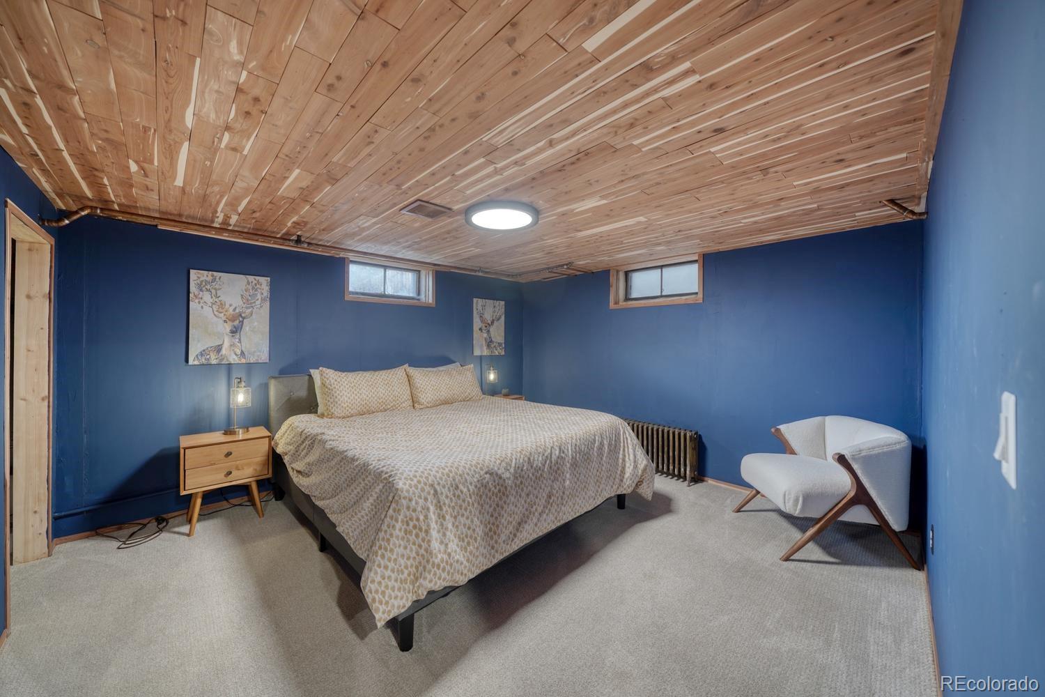MLS Image #27 for 219 s colorado avenue,buena vista, Colorado