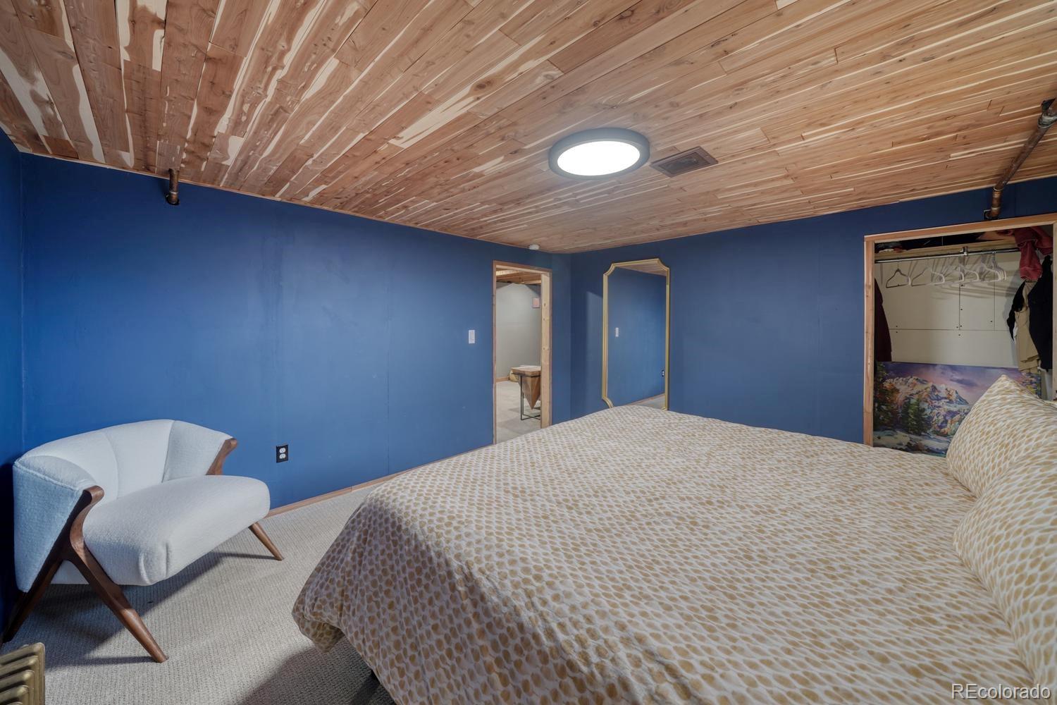 MLS Image #28 for 219 s colorado avenue,buena vista, Colorado