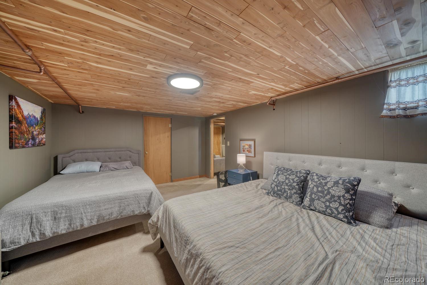 MLS Image #29 for 219 s colorado avenue,buena vista, Colorado
