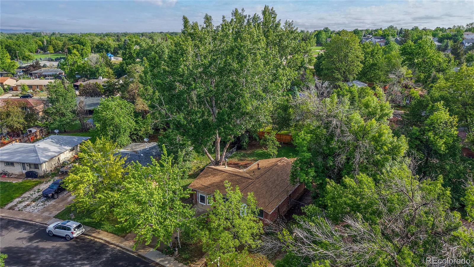 MLS Image #26 for 716  goss drive,longmont, Colorado