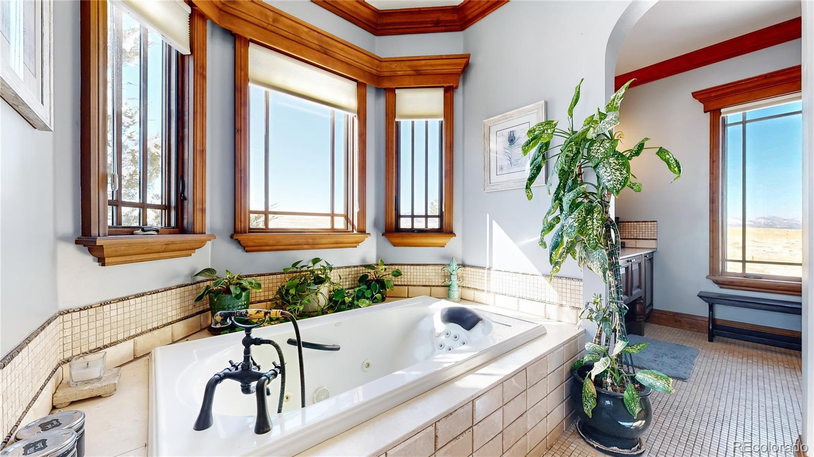 MLS Image #19 for 7755  moore road,littleton, Colorado