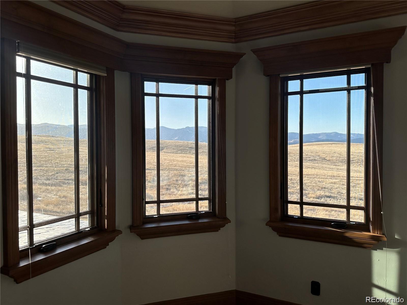 MLS Image #20 for 7755  moore road,littleton, Colorado