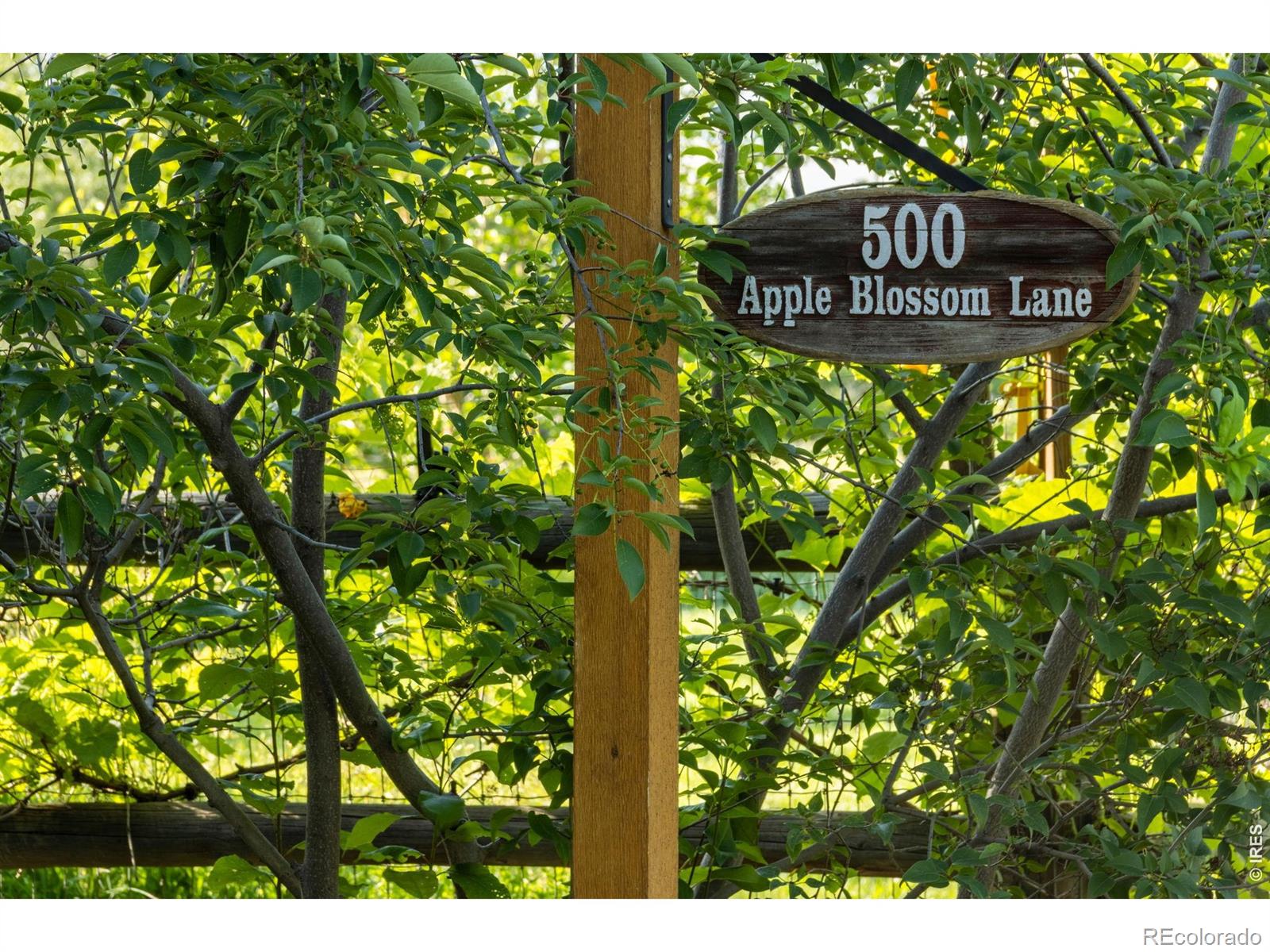 MLS Image #18 for 500  apple blossom lane,fort collins, Colorado