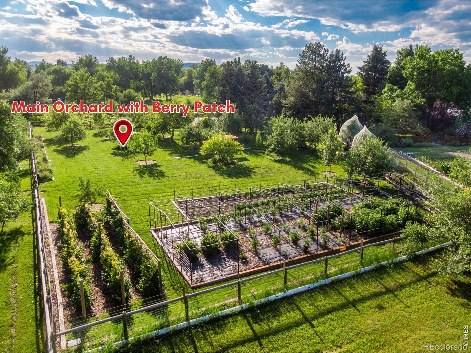 MLS Image #3 for 500  apple blossom lane,fort collins, Colorado