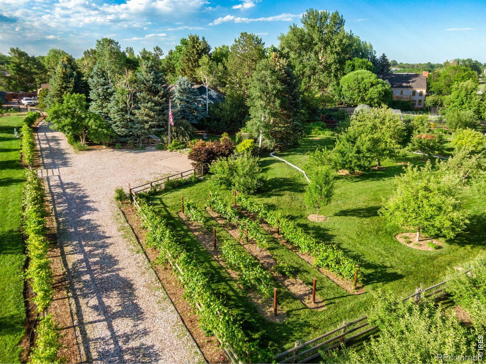 MLS Image #4 for 500  apple blossom lane,fort collins, Colorado