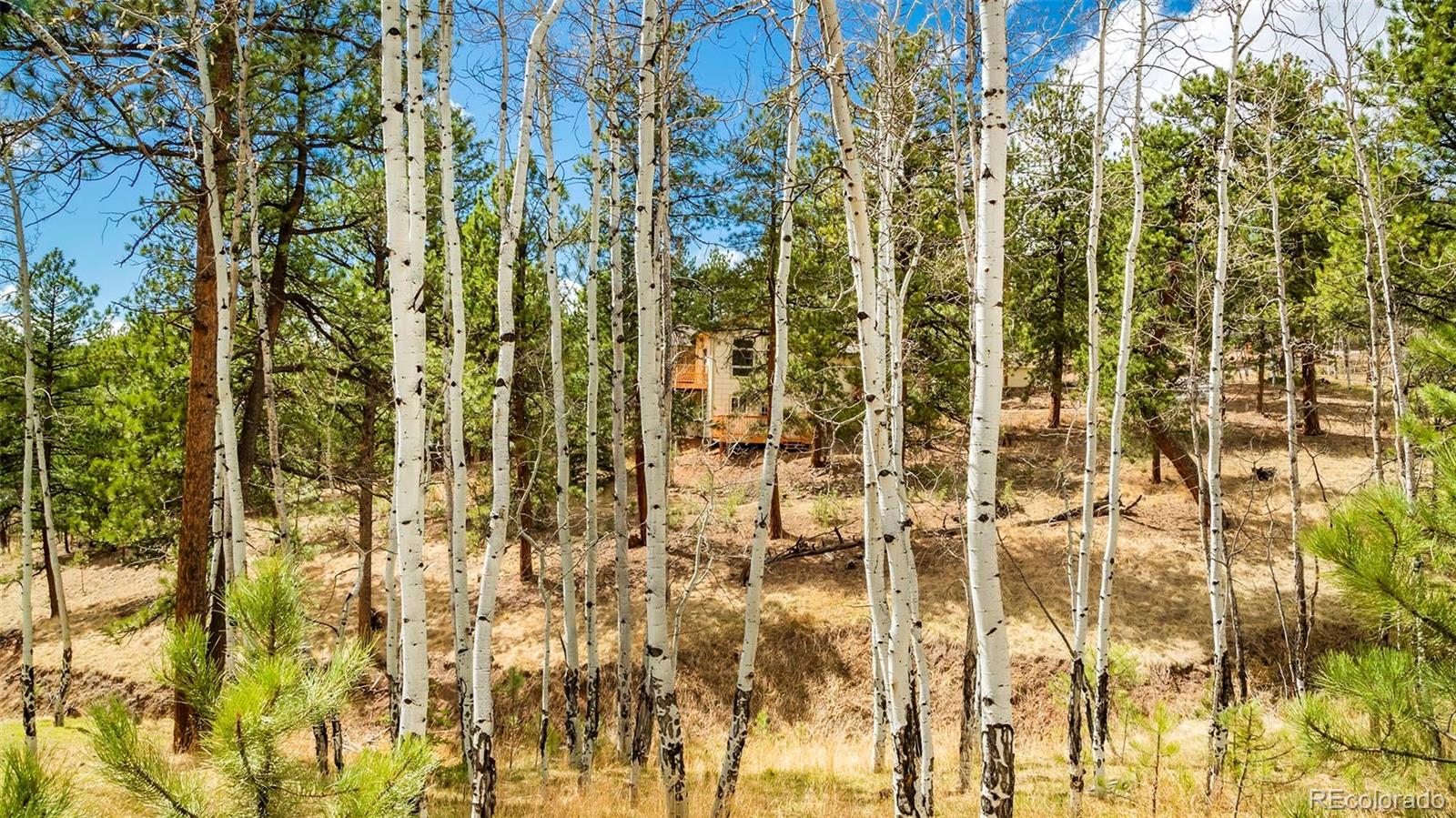 MLS Image #38 for 11744 s stallion drive,pine, Colorado
