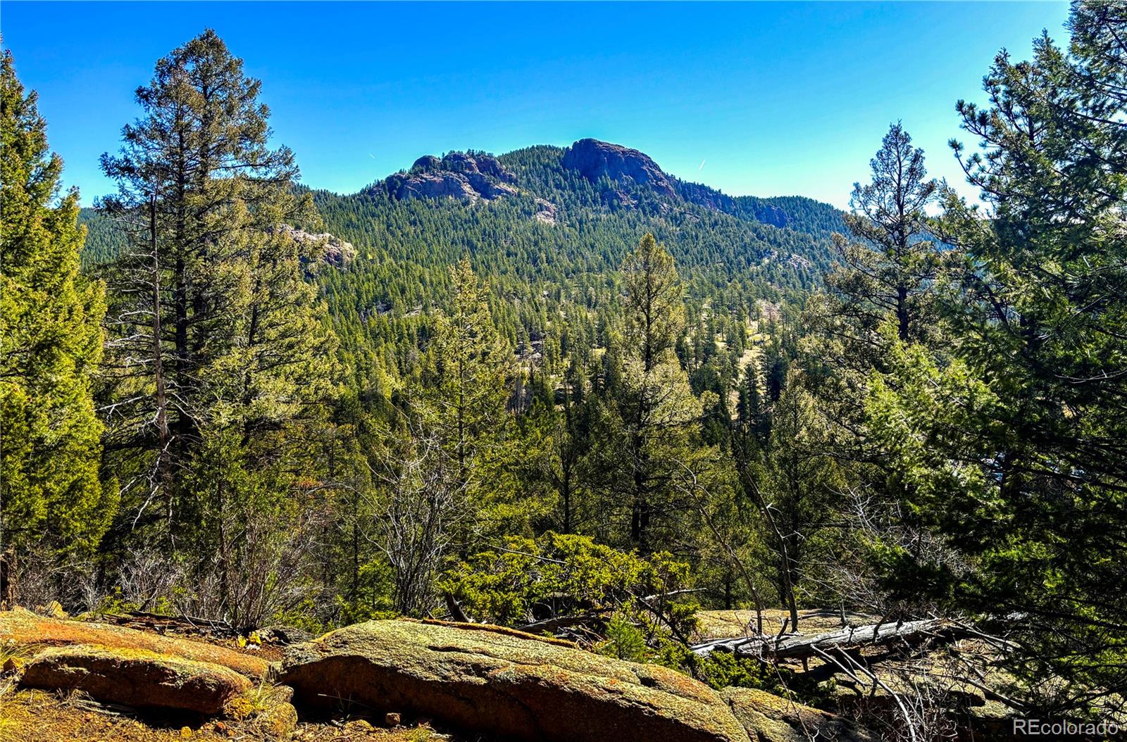 MLS Image #41 for 11744 s stallion drive,pine, Colorado