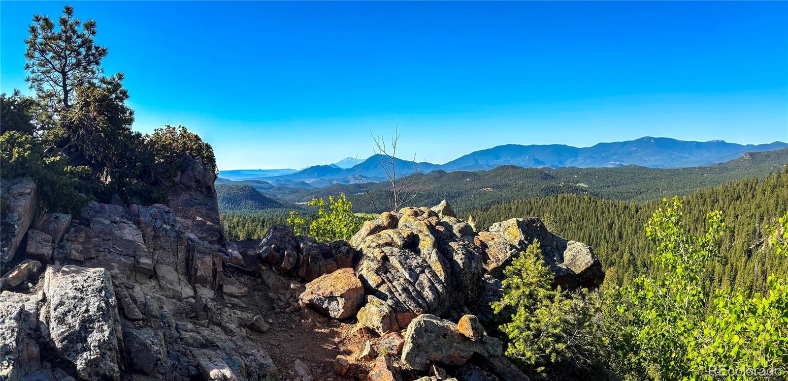 MLS Image #42 for 11744 s stallion drive,pine, Colorado