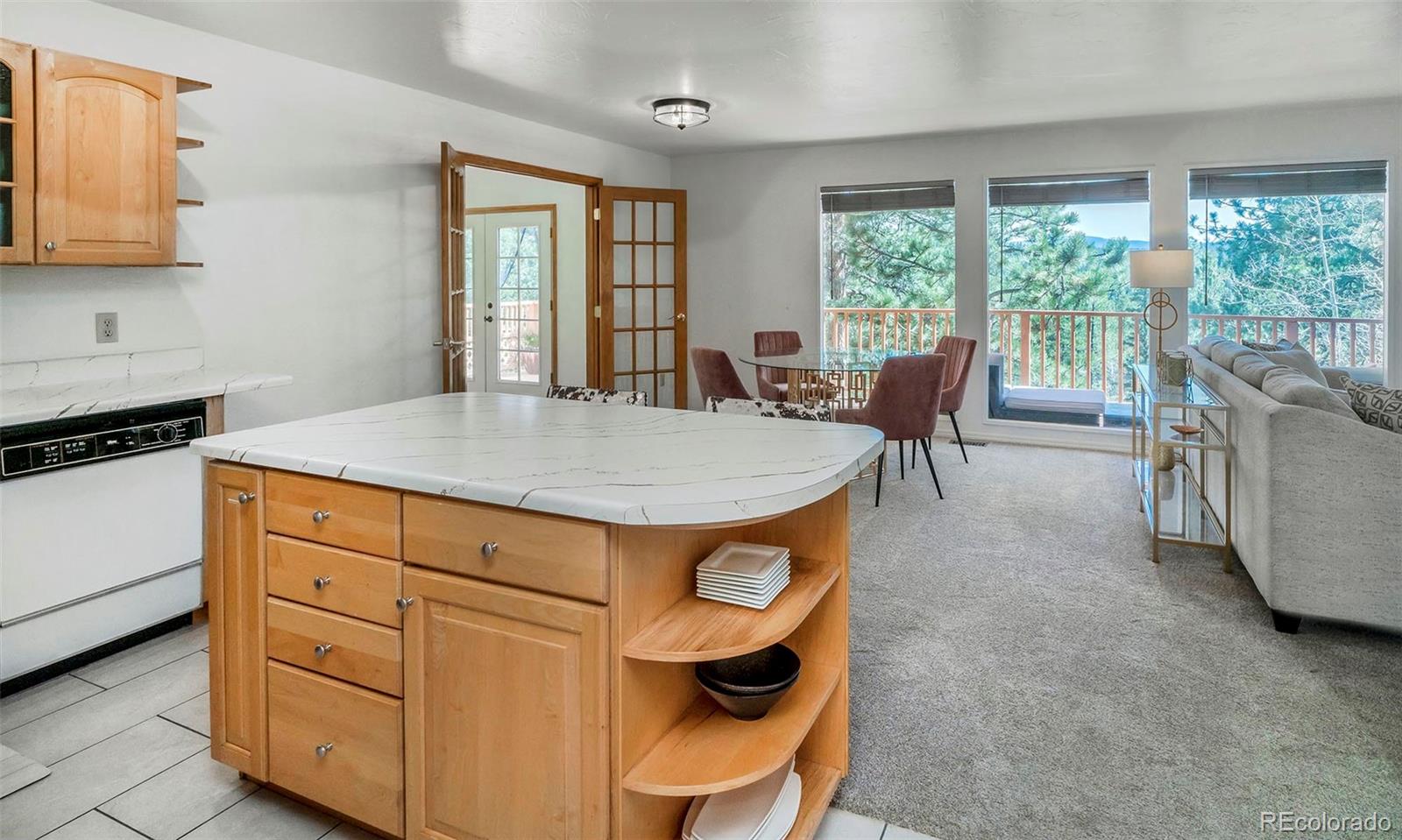 MLS Image #8 for 11744 s stallion drive,pine, Colorado