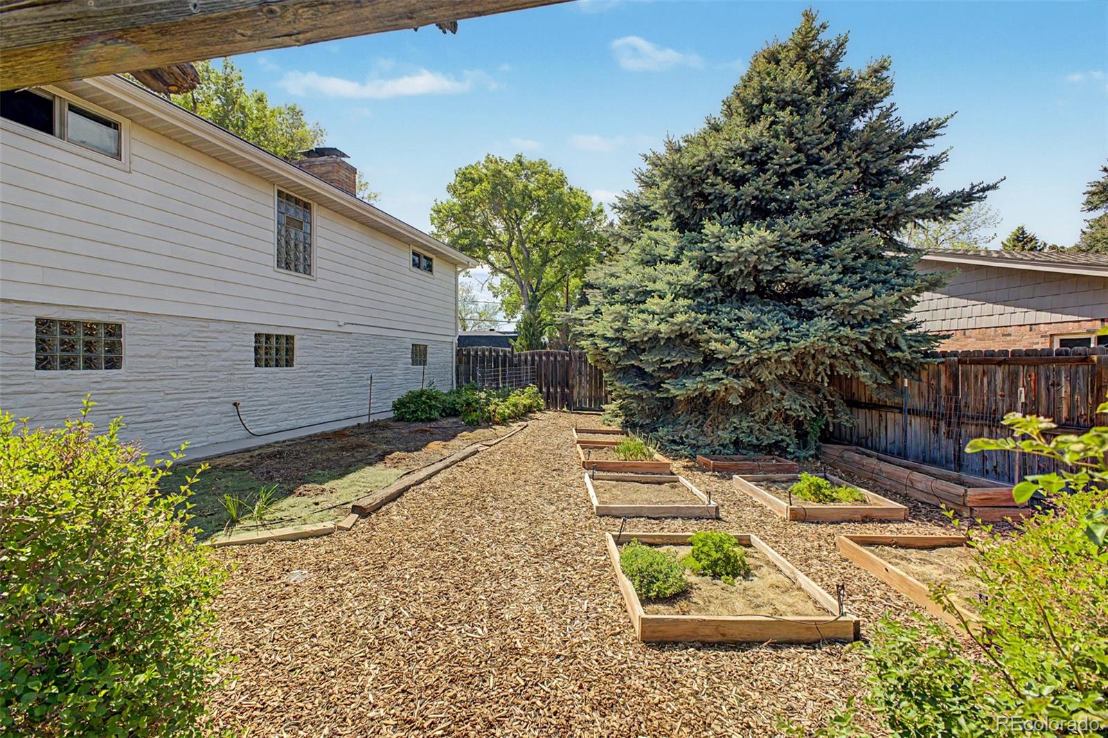 MLS Image #7 for 99 s holland street,lakewood, Colorado