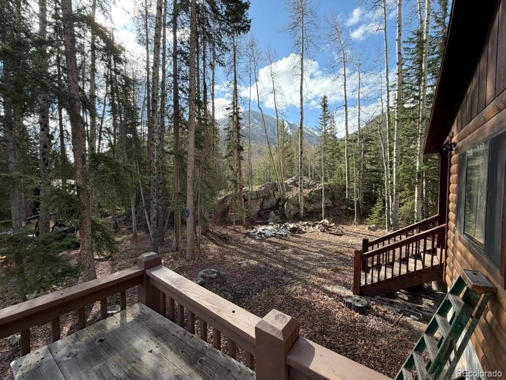 MLS Image #8 for 25981  county road 162 e ,nathrop, Colorado