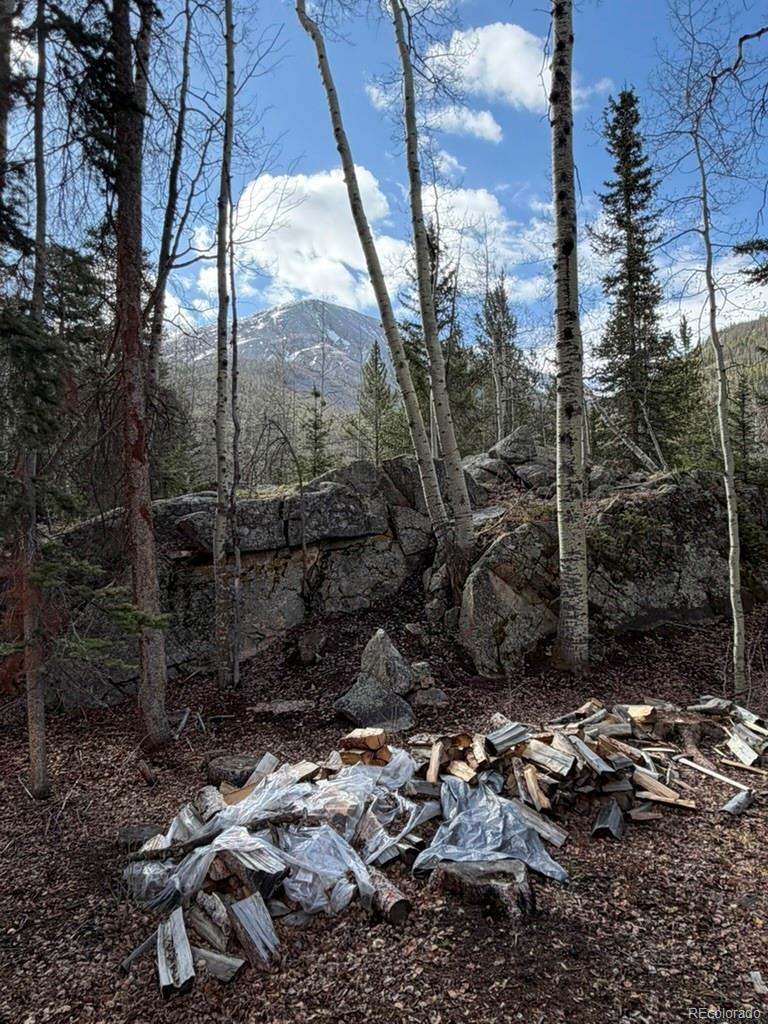 MLS Image #9 for 25981  county road 162 e ,nathrop, Colorado