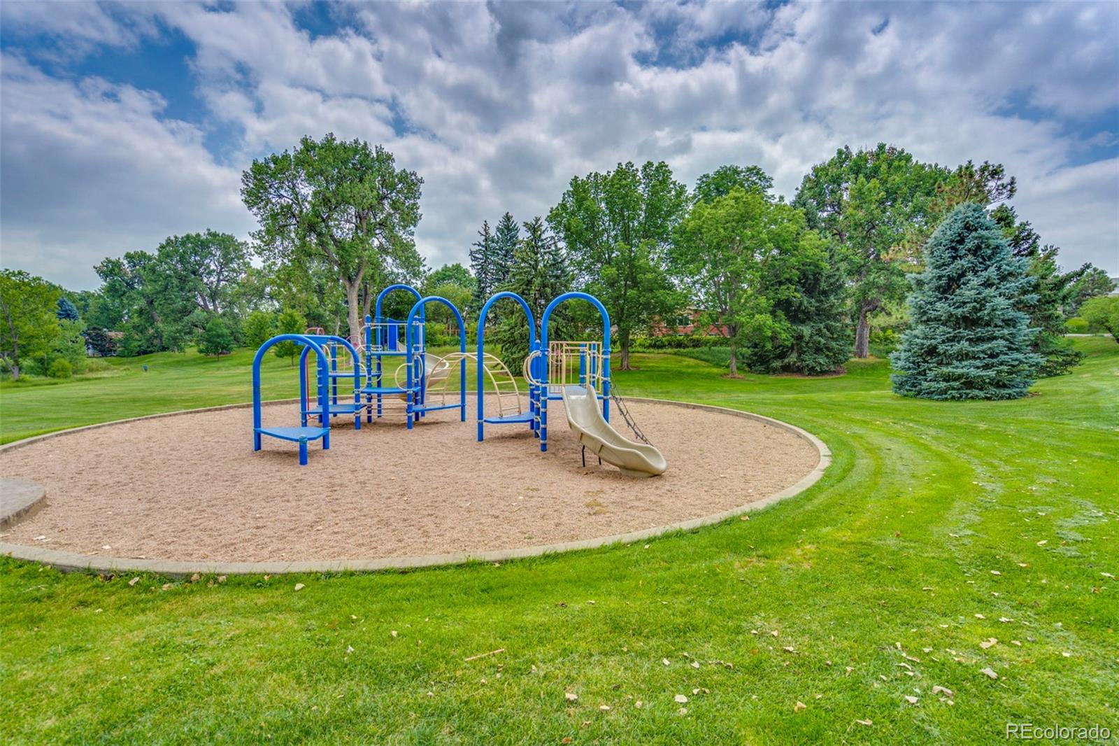 MLS Image #36 for 1065  dudley street,lakewood, Colorado