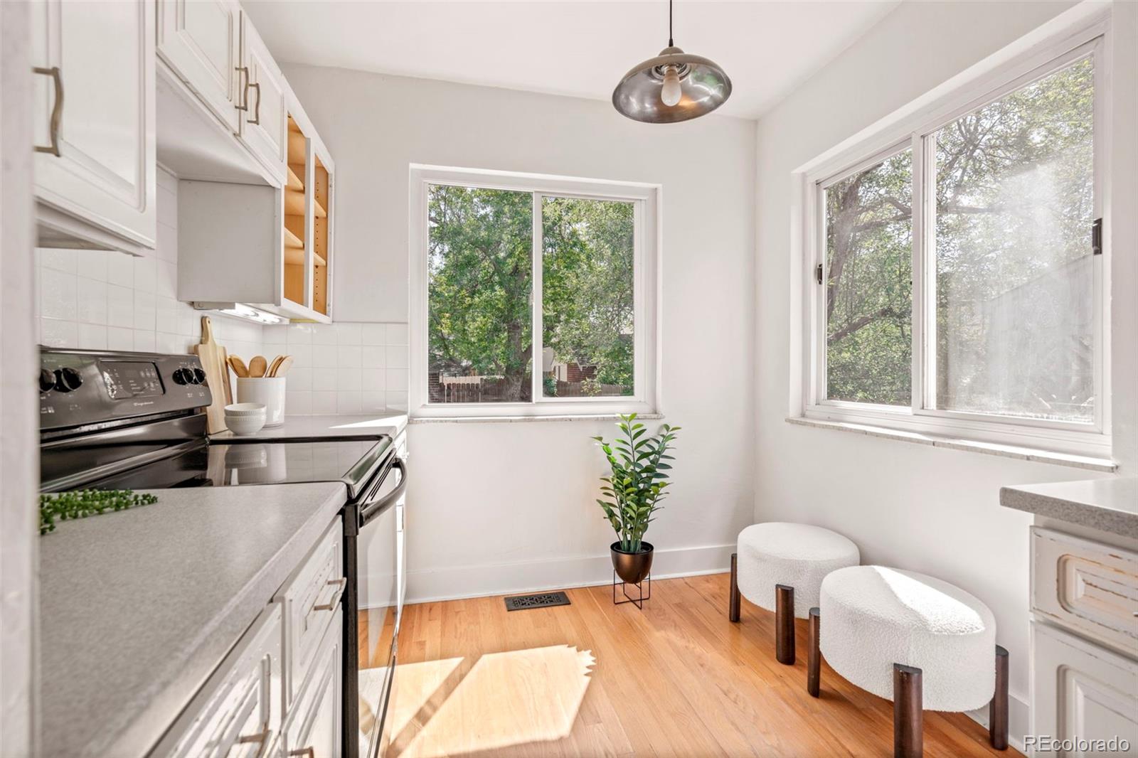 MLS Image #23 for 906  monroe street,denver, Colorado