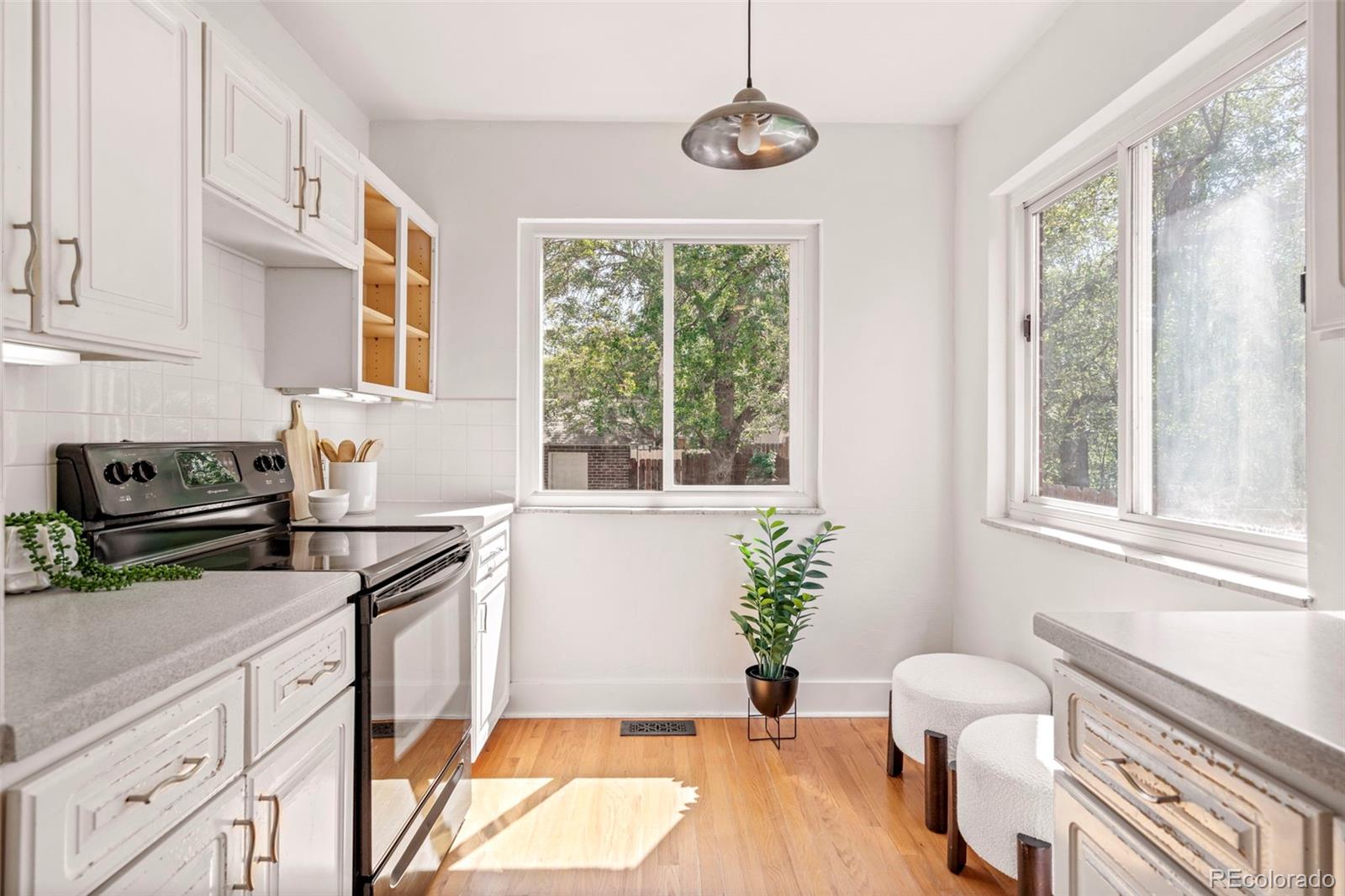 MLS Image #24 for 906  monroe street,denver, Colorado