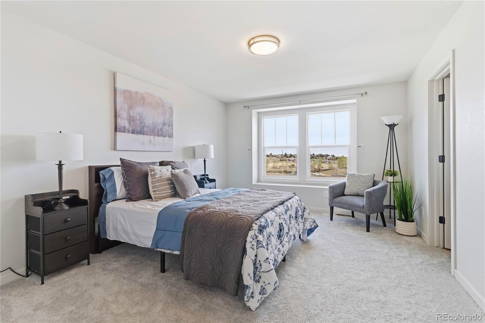 MLS Image #23 for 9981  hough point,parker, Colorado
